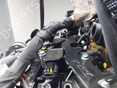 Engine FIAT PANDA (312_, 319_) 0.9 (312PXG1A) | BP35775596M1  - Image 7