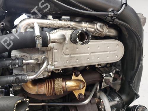 Engine VW GOLF V (1K1) 1.9 TDI | BP36774765M1 - Image 6