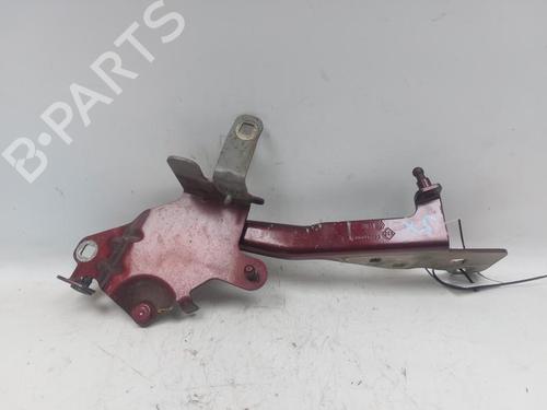 Hinge/Door check strap RENAULT SCÉNIC III (JZ0/1_) 1.6 dCi (JZ00, JZ12) | BP29526038C146 