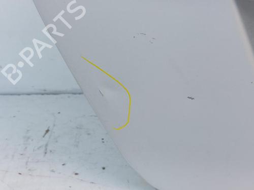 Tailgate FORD FIESTA VI (CB1, CCN) 1.4 | BP17207091C6 