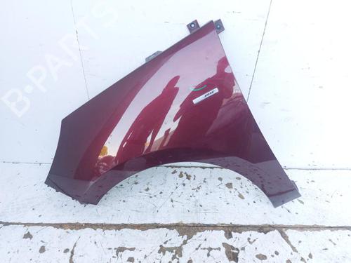 Used Left front fenders RENAULT SCÉNIC III (JZ0/1_) 1.6 dCi (JZ00, JZ12) (130 hp) 29523054
