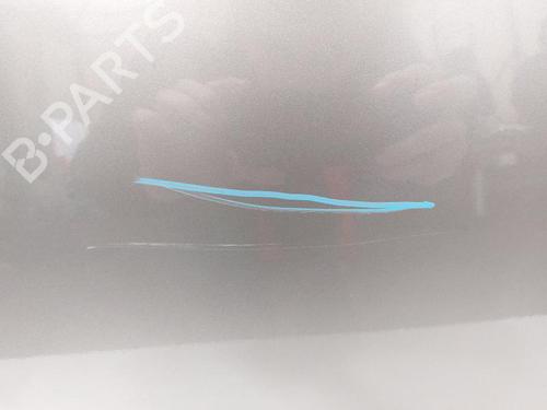 Left rear door RENAULT CLIO III (BR0/1, CR0/1) 1.2 16V Hi-Flex (BR1U, CR1U) | BP30531166C4 