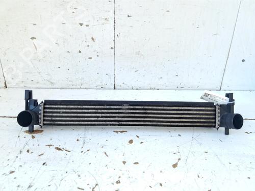 Intercooler Intercooler VW POLO V (6R1, 6C1) 1.2 TDI (75 hp) 37020077 37020077