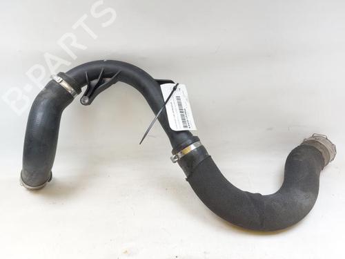 Pipe DACIA BIGSTER 1.2 ECO-G 140 | BP28490817M125