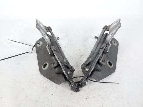 Used Hinge/Door check strap LAND ROVER DISCOVERY SPORT (L550) 2.0 D 4x4 (150 hp) 20979688