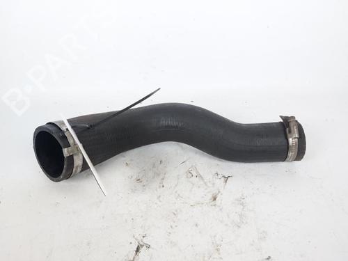 Used Pipe Pipe LAND ROVER RANGE ROVER EVOQUE (L538) 2.2 D 4x4 (190 hp) 20502229 20502229