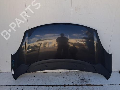 hood-fiat-500l-351_-352_-2012-39498754 main image