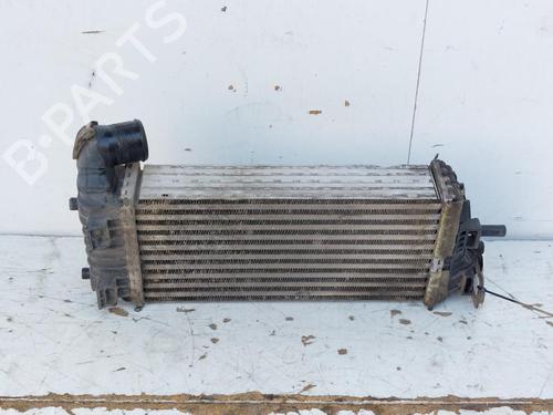 Used Intercooler Intercooler FORD TRANSIT CONNECT V408 Box Body/MPV 1.5 EcoBlue (120 hp) 15471886 15471886