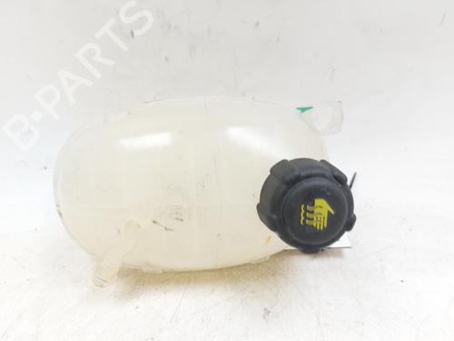 Ekpansionstank RENAULT EXPRESS Box Body/MPV 1.3 TCe 100 (F6MA) 217101878R 217101878R