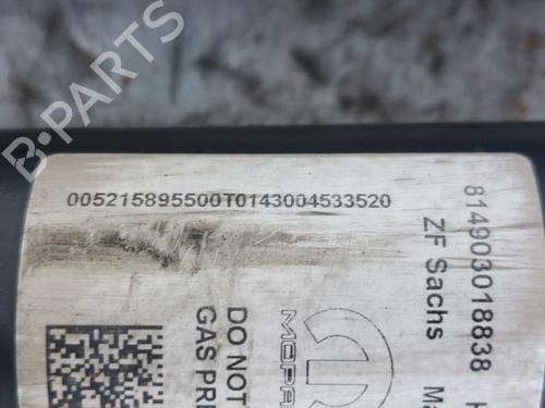 Right rear shock absorber FIAT TIPO Hatchback (356_, 357_) 1.0 (357HXN1A) | BP23032175M19 