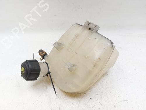 Used Expansion tank RENAULT TWINGO II (CN0_) 1.5 dCi (CN0E) (64 hp) 25301585