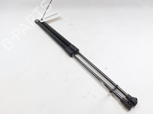 Tailgate lift support VW POLO (9N_, 9A_) 1.4 TDI | BP28162429C138 