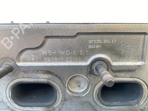Cylinder head AUDI A4 B9 Avant (8W5, 8WD) 2.0 TDI | BP18829307M5 