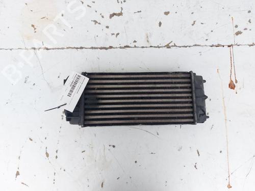 Intercooler PEUGEOT 3008 I MPV (0U_) 1.6 BlueHDi 120 | BP17207028M30