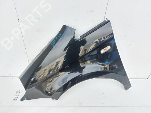 Forskærm venstre LANCIA MUSA (350_) 1.9 D Multijet (350.AXC1A) (101 hp) 30478489