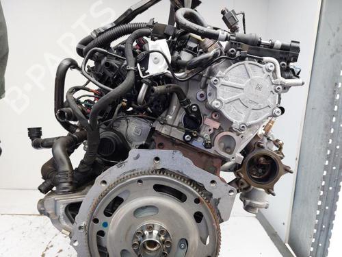 Engine AUDI A5 (F53, F5P) 2.0 TDI | BP23880688M1 
