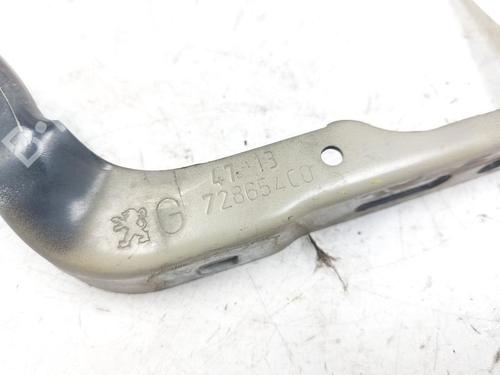 Hinge/Door check strap PEUGEOT 208 I (CA_, CC_) 1.4 GPL | BP25912737C146