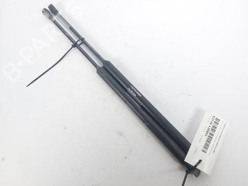 Used Tailgate lift support FIAT 500 (312_) 1.2 (312AXA1A) (69 hp) 23881779