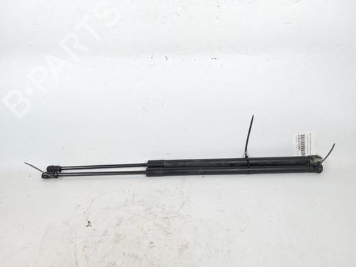 BP19788056C138 main image