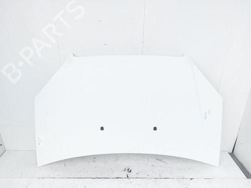 Used Hood Hood FIAT DOBLO MPV (119_, 223_) 1.6 Natural Power (103 hp) 33194110 33194110