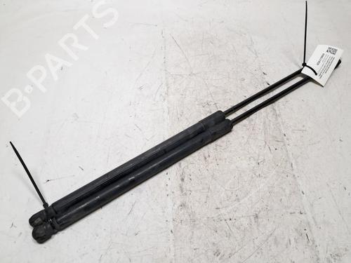 tailgate-lift-support-ford-focus-iii-2010-2011-2012-2013-2014-2015-2016-2017-2018-2019-2020-33312146 main image