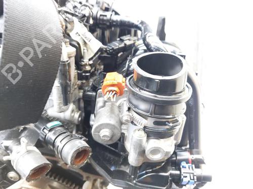 Motor FORD FIESTA VI (CB1, CCN) 1.0 | BP31010912M1