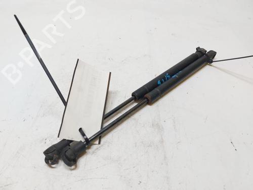 Gassdemper Bakluke SMART CITY-COUPE (450) 0.6 (S1CLA1, 450.341) | BP30801730C138