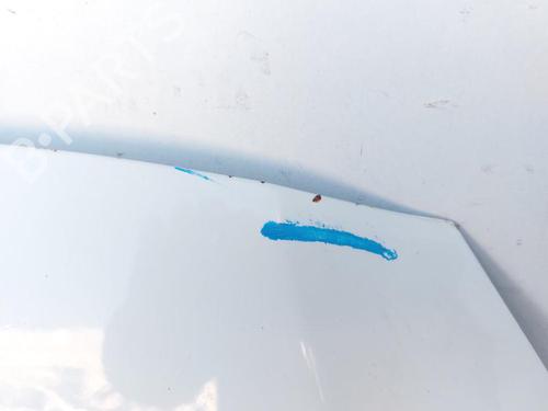 Hood FORD FIESTA VI (CB1, CCN) 1.0 | BP30898581C1