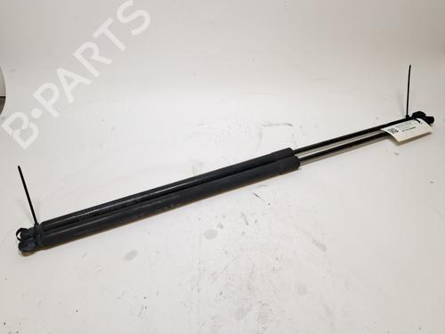 Gasdæmper bagklap Gasdæmper bagklap FIAT DOBLO Cargo (263_) 1.6 D Multijet (263WXD1B, 263WXR1B, 263WXX1B, 263ZXD1B,... (105 hp) 36381204 36381204