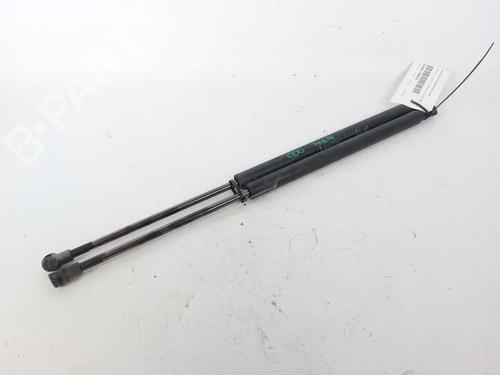 Tailgate lift support FIAT 500 (312_) 1.3 D Multijet (312AXE1A) | BP23881291C138 