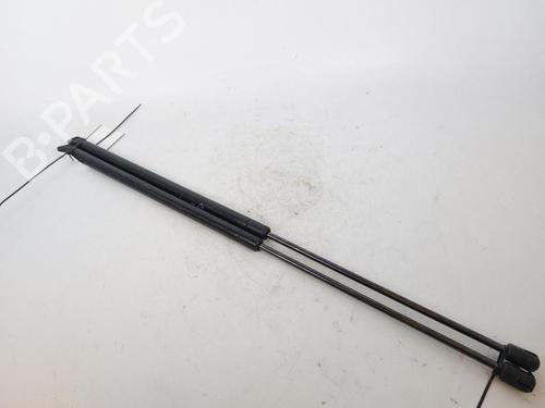 Tailgate lift support LANCIA DELTA III (844_) 1.6 D Multijet (844.AXC11, 844.AXC1A) | BP17206718C138 