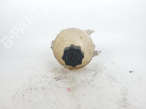 Expansion tank PEUGEOT 3008 I MPV (0U_) 1.6 HDi | BP17207155C120 