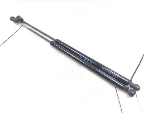 Tailgate lift support FIAT IDEA (350_) 1.2 16V | BP29746353C138