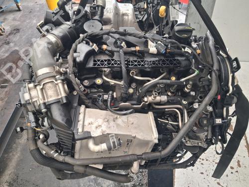 Engine FORD FOCUS IV Turnier (HP) 1.5 EcoBlue | BP37513530M1 - Image 9