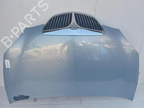 Used Hood LANCIA MUSA (350_) 1.9 D Multijet (350.AXC1A) (101 hp) 30455219