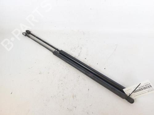 Used Tailgate lift support LAND ROVER RANGE ROVER SPORT I (L320) 3.0 D 4x4 (245 hp) 17805214