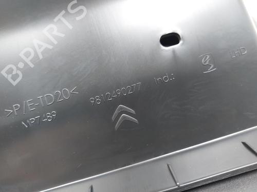 Glove box CITROËN C3 III (SX) 1.5 BlueHDi 100 (SXYHYP, SXYHTU) | BP29298523C95 