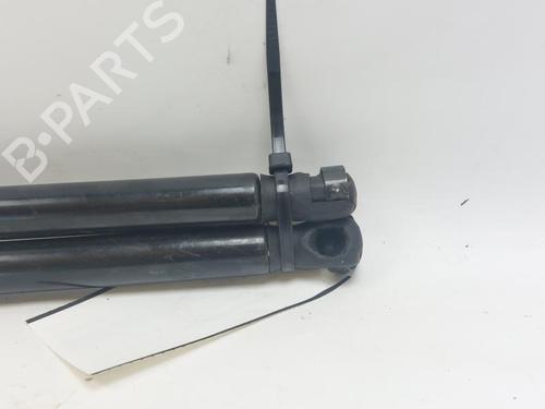 Gassdemper Bakluke FORD C-MAX (DM2) 1.8 TDCi | BP29500842C138 