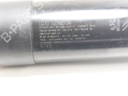 Tailgate lift support CITROËN C4 Picasso II 1.6 BlueHDi 120 | BP29584116C138 