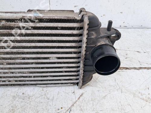 Intercooler NISSAN PRIMASTAR Bus (X83) dCi 100 | BP34119244M30 - Image 3