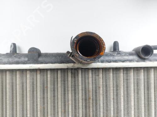 Water radiator PEUGEOT 206+ (2L_, 2M_) 1.1 | BP29383630M31 