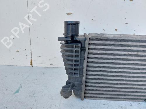 Intercooler NISSAN JUKE (F15) 1.5 dCi | BP30802025M30