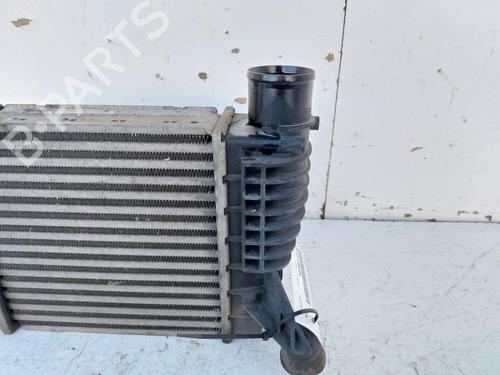 Intercooler NISSAN JUKE (F15) 1.5 dCi | BP30802025M30