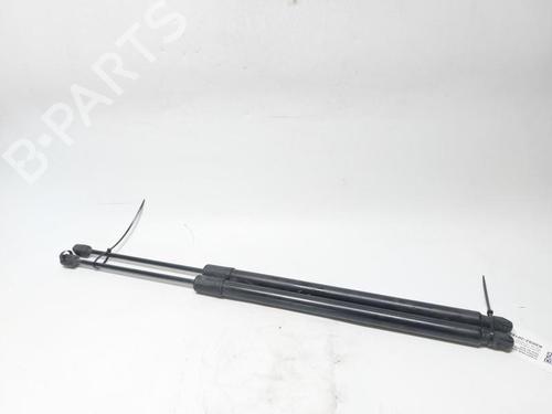 BP31011004C138 main image