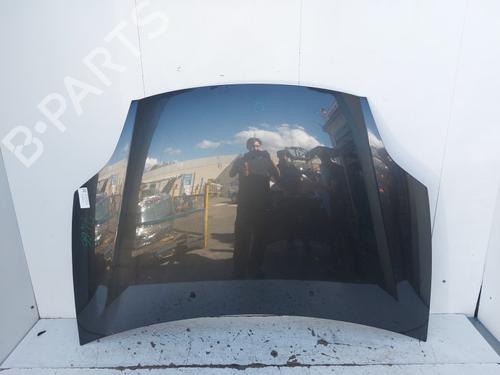 Used Hood Hood FIAT BRAVO II (198_) 1.6 D Multijet (198AXH1B) (105 hp) 35721372 35721372