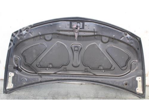 Hood RENAULT CLIO III (BR0/1, CR0/1) 1.2 16V (BR02, BR0J, BR11, CR02, CR0J, CR11) | BP15144262C1 