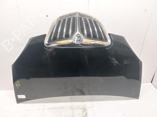 Capot LANCIA MUSA (350_) 1.4 (350.AXF1A) (78 hp) 30613460