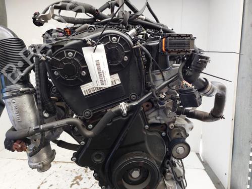 Engine AUDI A5 (F53, F5P) 2.0 TDI | BP23880688M1 