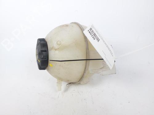 Used Expansion tank BMW X4 (G02, F98) xDrive 20 d (190 hp) 17220227