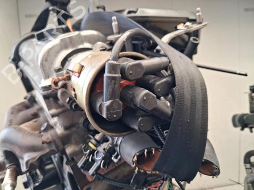 Engine VW POLO (6N2) 1.0 | BP39021245M1 - Image 6